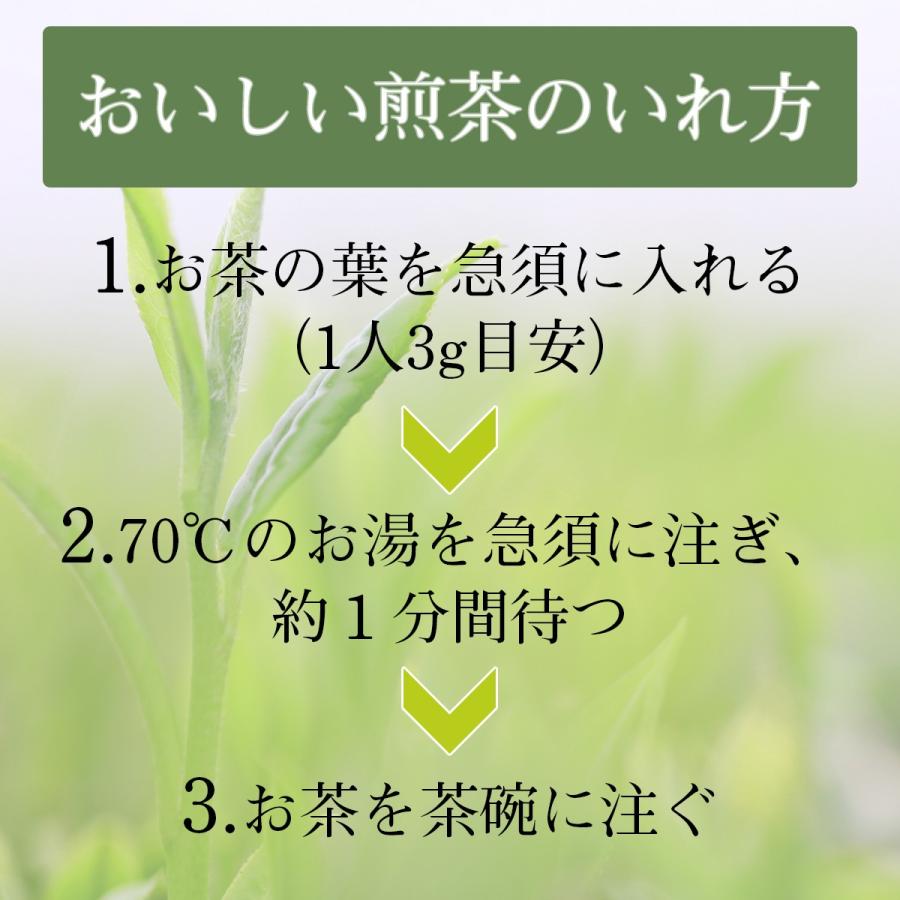 茶師の目利き 煎茶 100g : EMXファミリー友の会 - 通販 - Yahoo