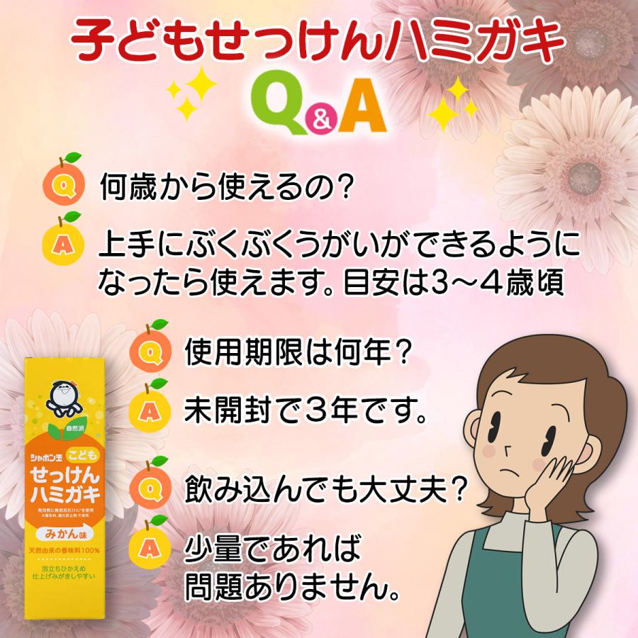 シャボン玉 こどもせっけんハミガキ 50g | シャボン玉石けん | 05
