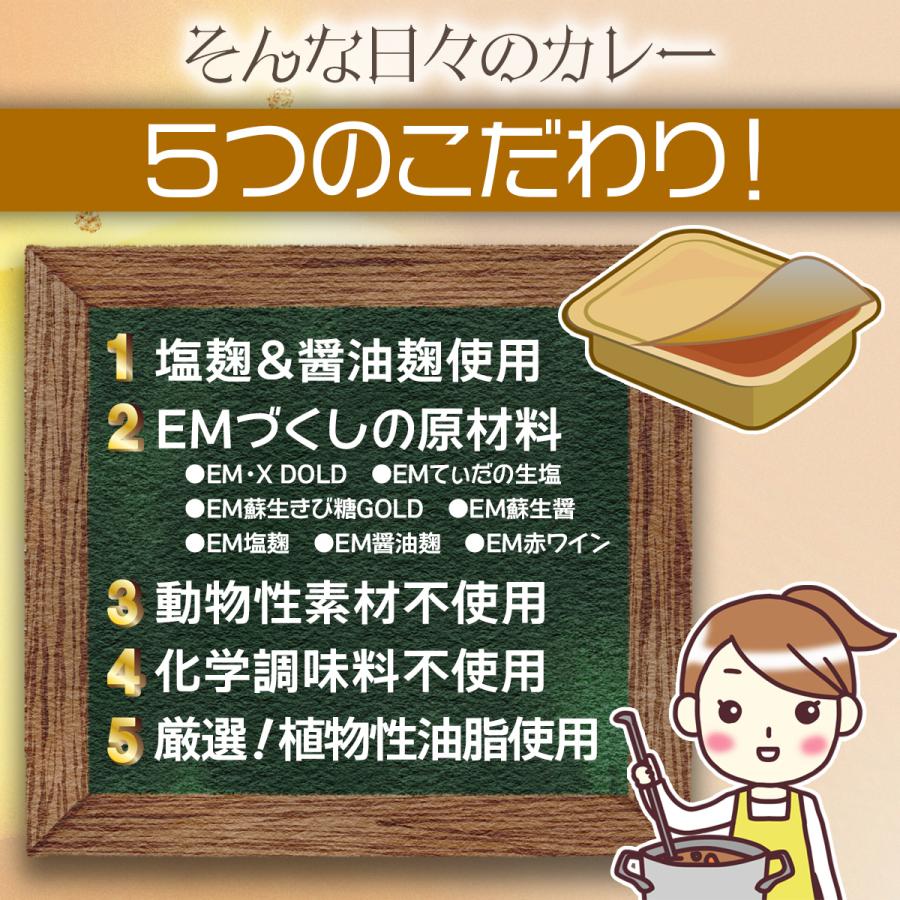 そんな日々のカレー 115g×2個 （固形カレールー/カレールウ）新商品 化学調味料不使用 | ブランド登録なし | 04