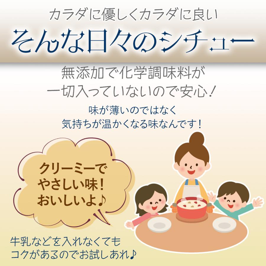 そんな日々のシチュー 115g×2個 （固形シチュールー/シチュールウ）新商品 化学調味料不使用 | ブランド登録なし | 03