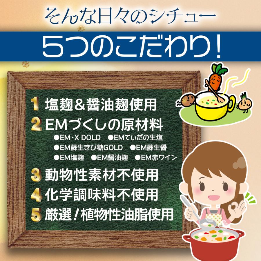 そんな日々のシチュー 115g×2個 （固形シチュールー/シチュールウ）新商品 化学調味料不使用 | ブランド登録なし | 04