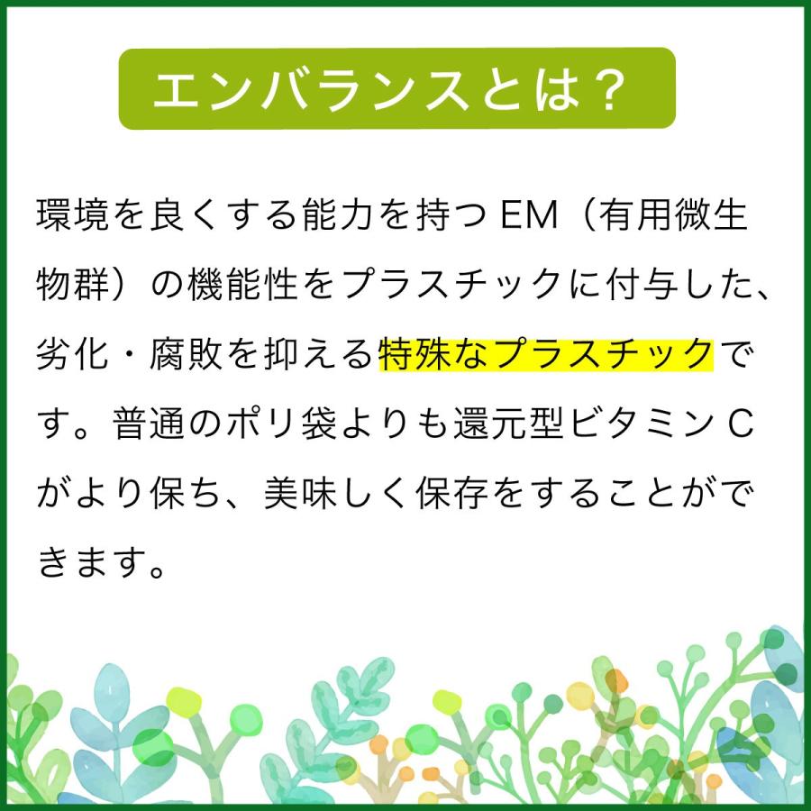 エンバランス　バラエティセット[ 新鮮チャック袋／保存袋]リニューアル | ブランド登録なし | 02