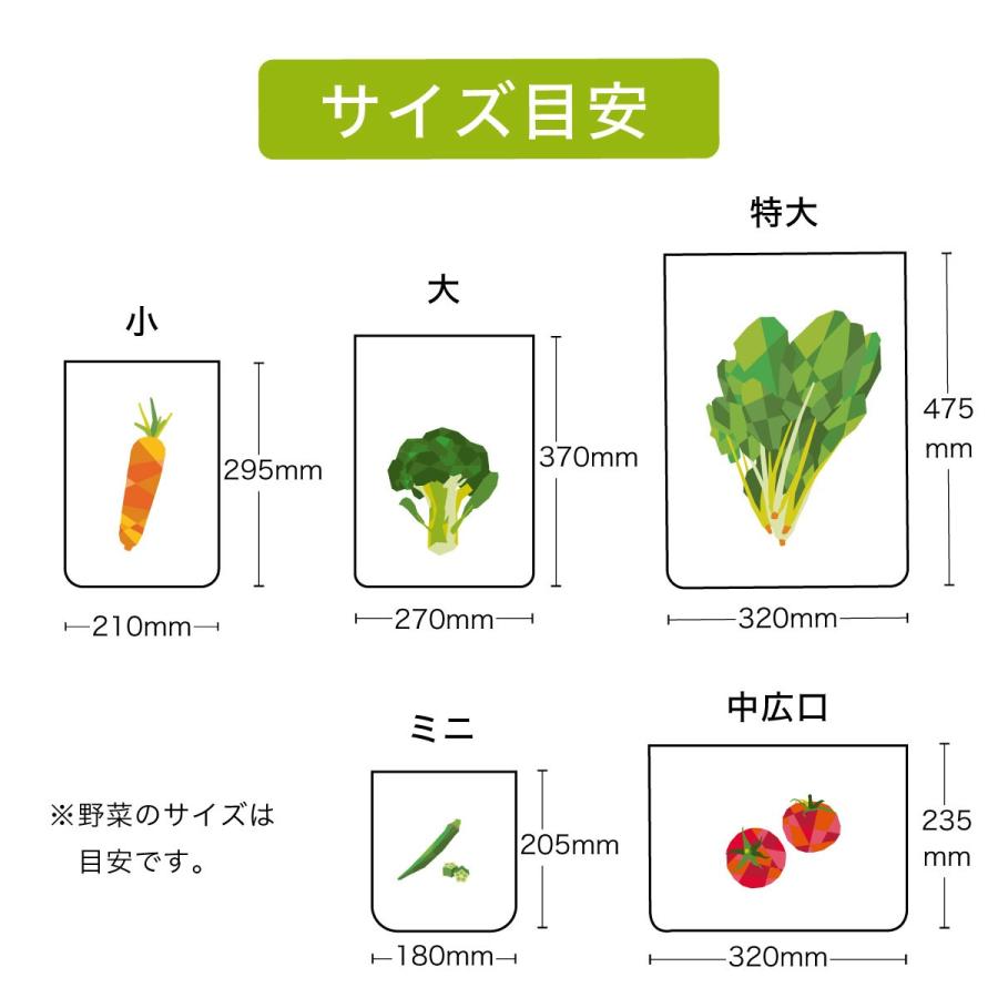エンバランス　バラエティセット[ 新鮮チャック袋／保存袋]リニューアル | ブランド登録なし | 04