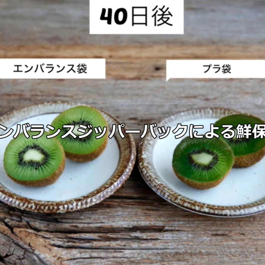 エンバランス　バラエティセット[ 新鮮チャック袋／保存袋]リニューアル | ブランド登録なし | 07