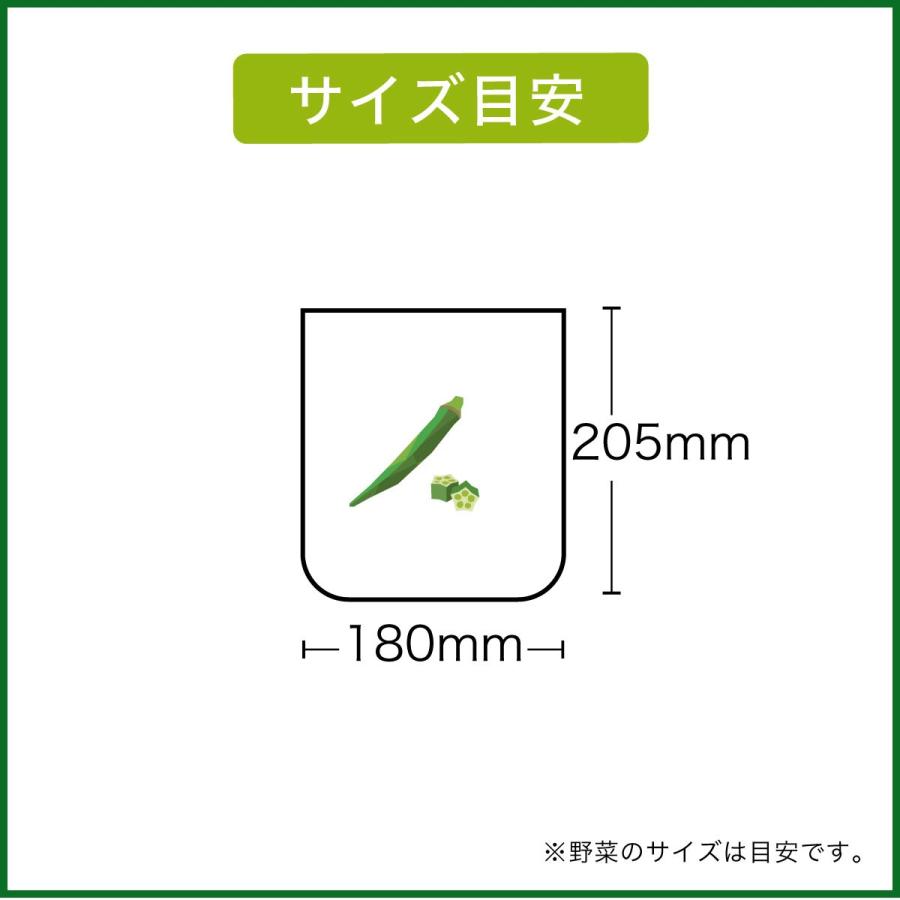 エンバランス XSサイズ（20.5×18cm）11枚入 [ 新鮮チャック袋／保存袋]リニューアル | ブランド登録なし | 04