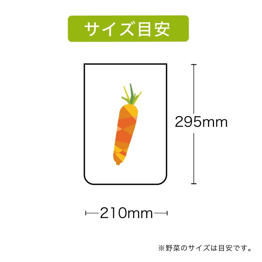 エンバランス Sサイズセット（29.5×21cm） [ 新鮮チャック袋／保存袋] | ブランド登録なし | 04