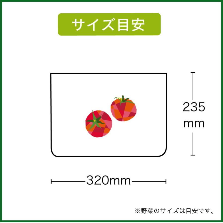エンバランス Mワイド　6枚入（32×23.5cm） [ 新鮮チャック袋／保存袋]リニューアル | ブランド登録なし | 04