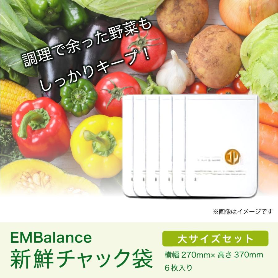 エンバランス Lサイズセット 6枚入（37×27cm） [ 新鮮チャック袋／保存袋] | ブランド登録なし | 01