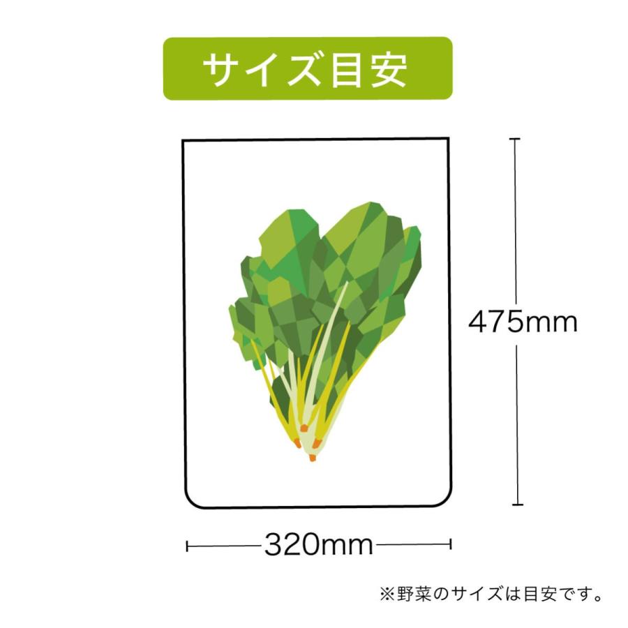 エンバランス 特大サイズセット XL4枚入　[ 新鮮チャック袋／保存袋] | ブランド登録なし | 04