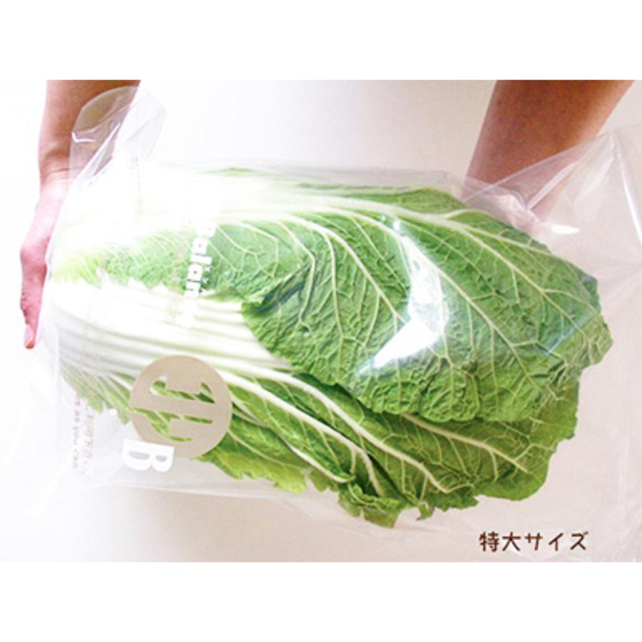 エンバランス 特大サイズセット XL4枚入　[ 新鮮チャック袋／保存袋] | ブランド登録なし | 08