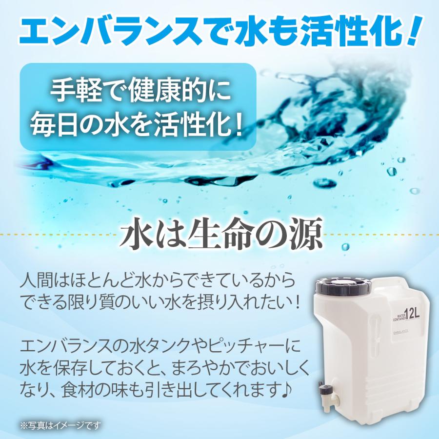 水タンク 12リットル 送料無料 | ブランド登録なし | 04