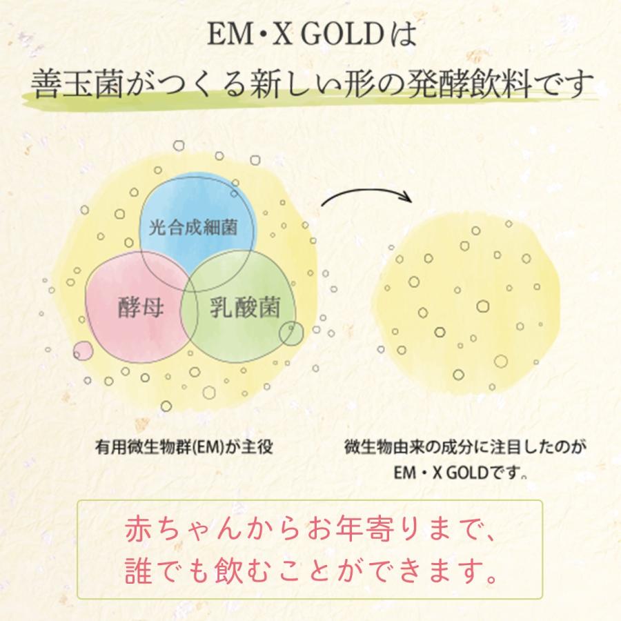 EMX GOLD（イーエムエックスゴールド/EMXゴールド）500ml　20本セット（クオカード300円分20枚付） | ブランド登録なし | 02