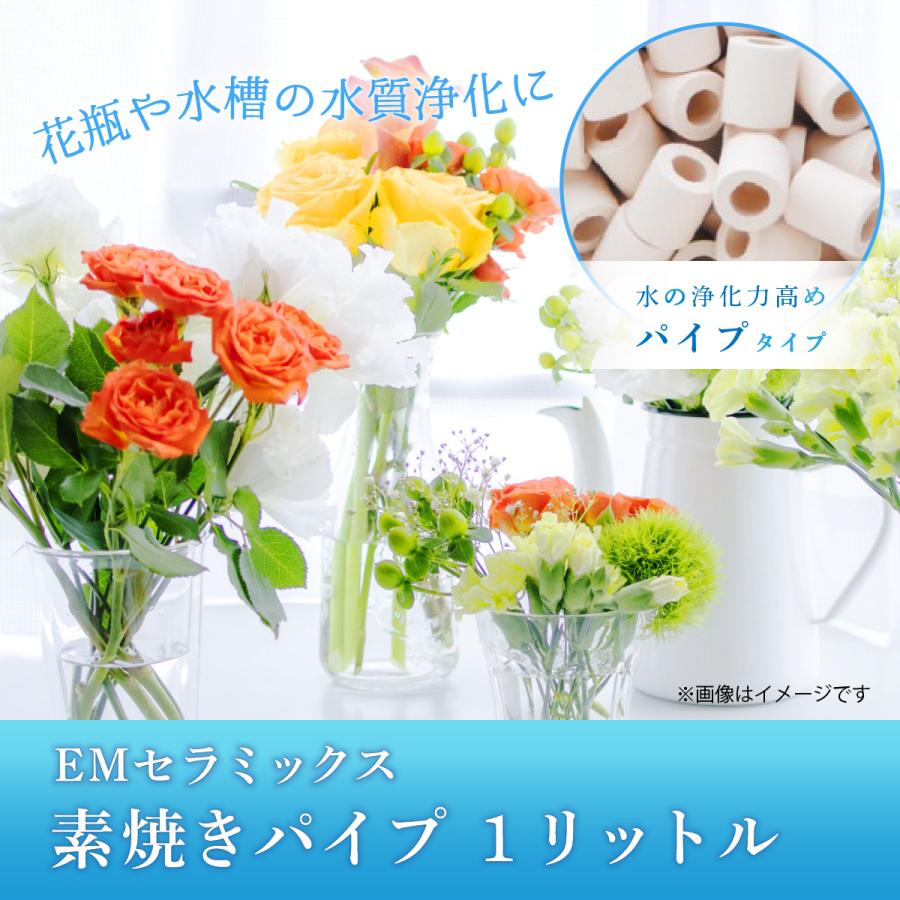 素焼きパイプ 1L  [水質改善 セラミックス] | ブランド登録なし | 01