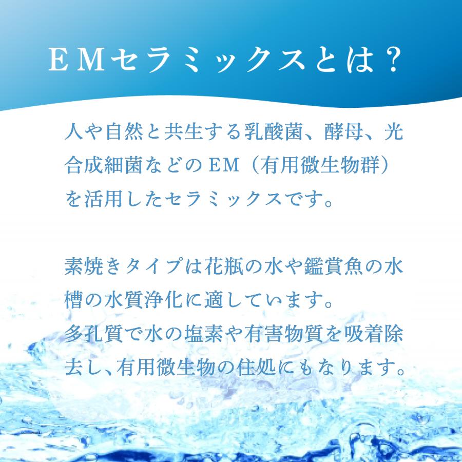 素焼きパイプ 1L  [水質改善 セラミックス] | ブランド登録なし | 02