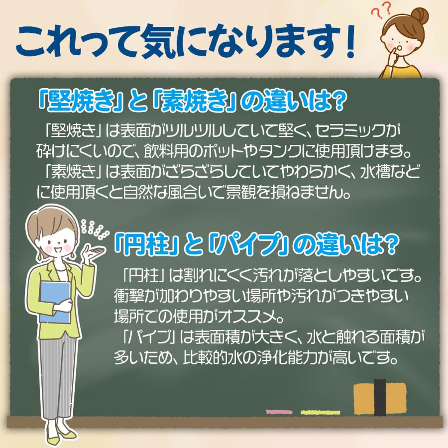 素焼きパイプ 1L  [水質改善 セラミックス] | ブランド登録なし | 06