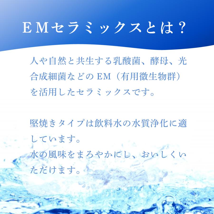 堅焼きパイプ 500g  [水質改善 セラミックス] | ブランド登録なし | 02