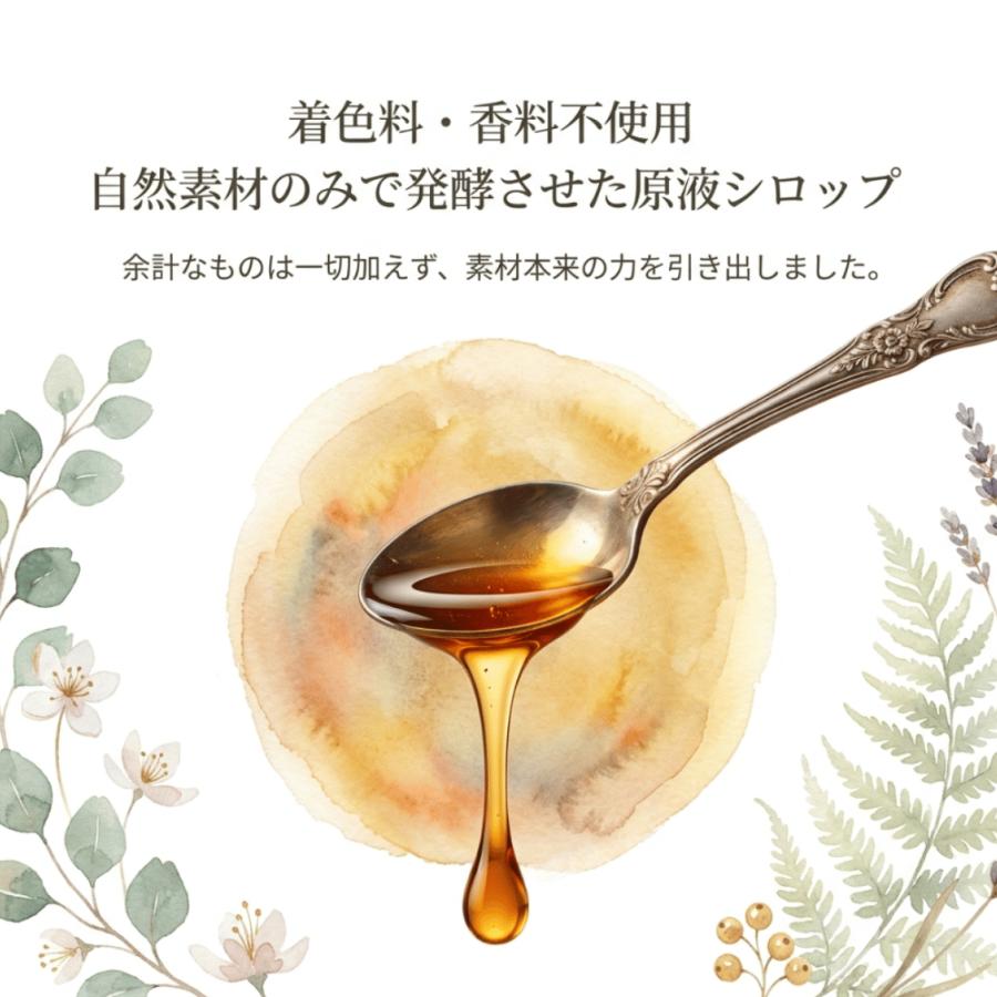 植物酵素シロップ　ミクスロップ　500ml |  | 02