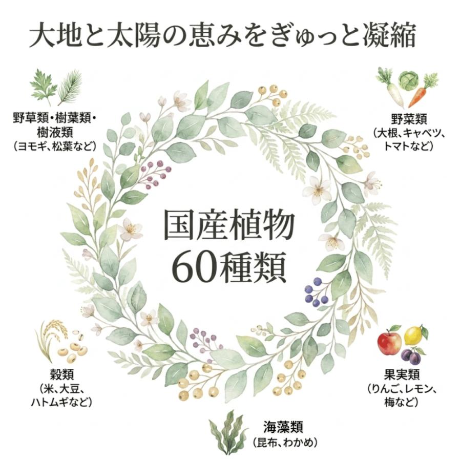 植物酵素シロップ　ミクスロップ　500ml |  | 03