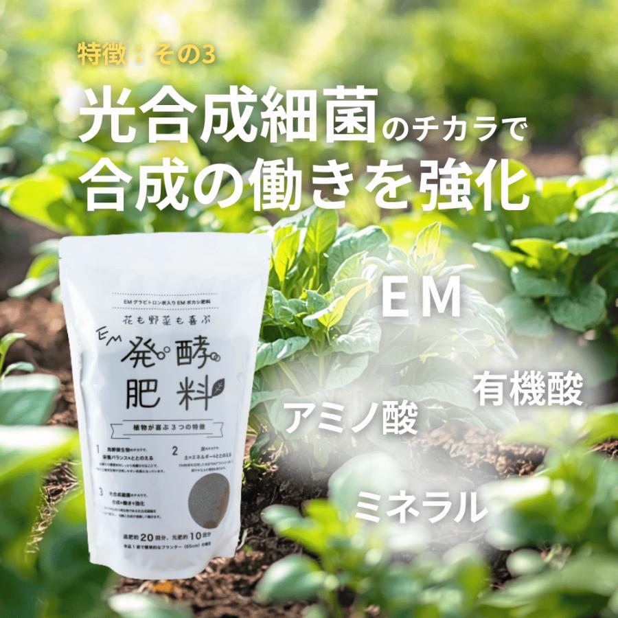 花も野菜も喜ぶ　EM発酵肥料 |  | 04
