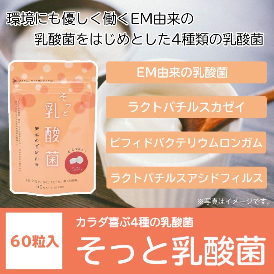 そっと乳酸菌 60粒入り（約1ヶ月分） [サプリメント 健康] : EMX
