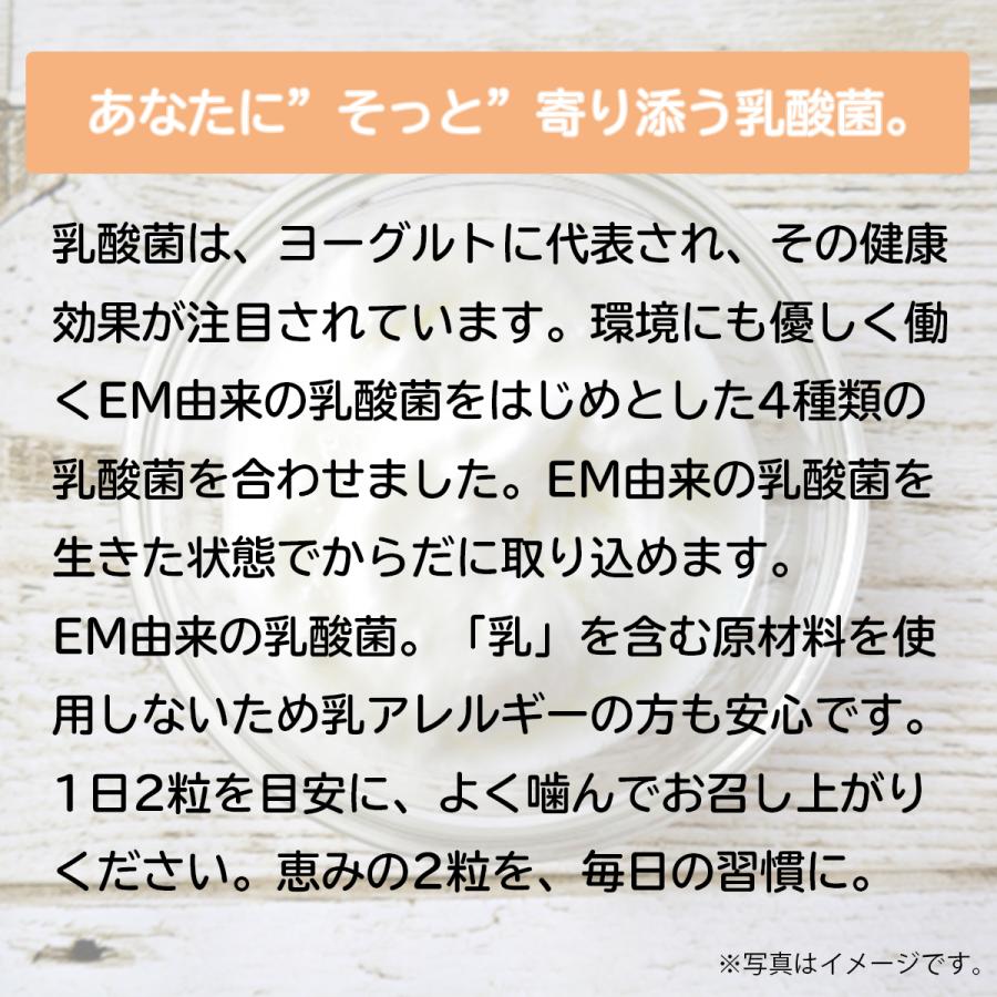 そっと乳酸菌 60粒入り（約1ヶ月分） [サプリメント 健康] : EMX