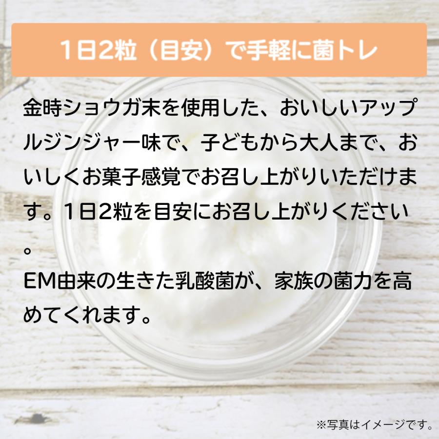 そっと乳酸菌 60粒入り（約1ヶ月分） [サプリメント 健康] | ブランド登録なし | 04