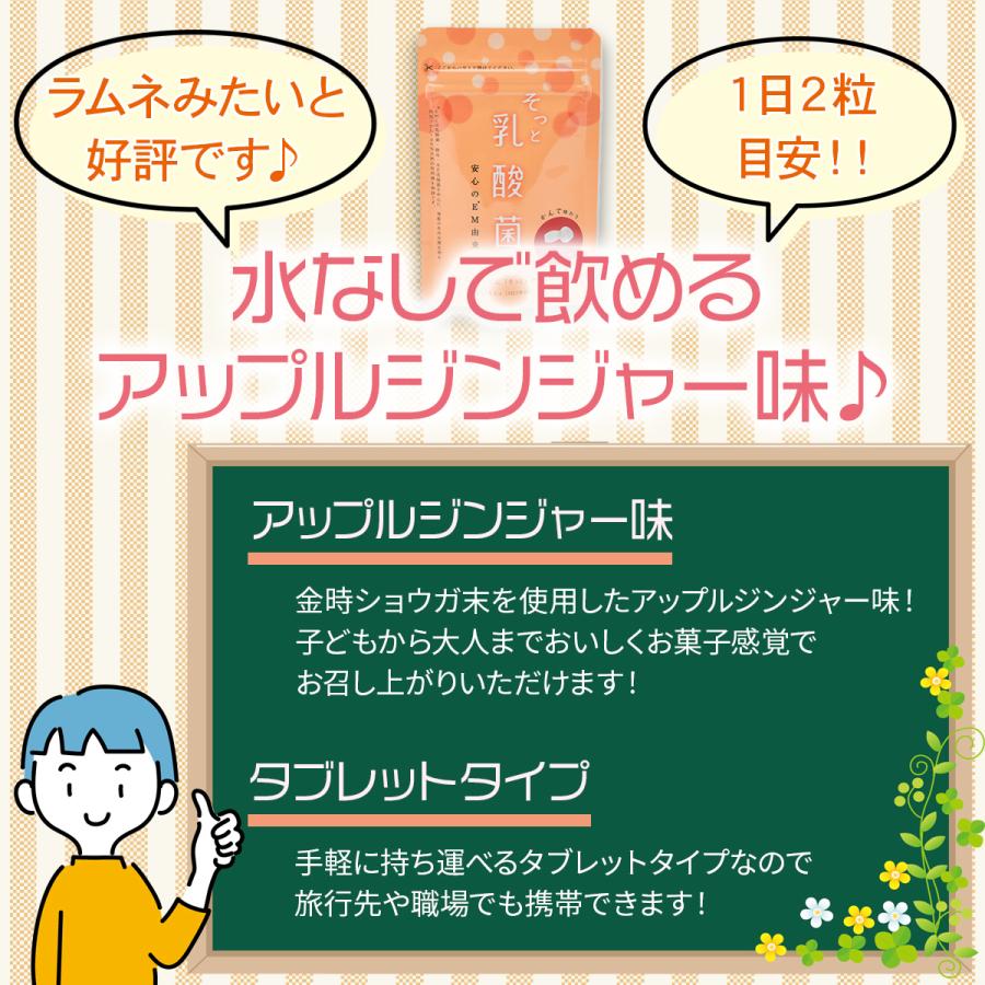 そっと乳酸菌 60粒入り（約1ヶ月分） [サプリメント 健康] : EMX