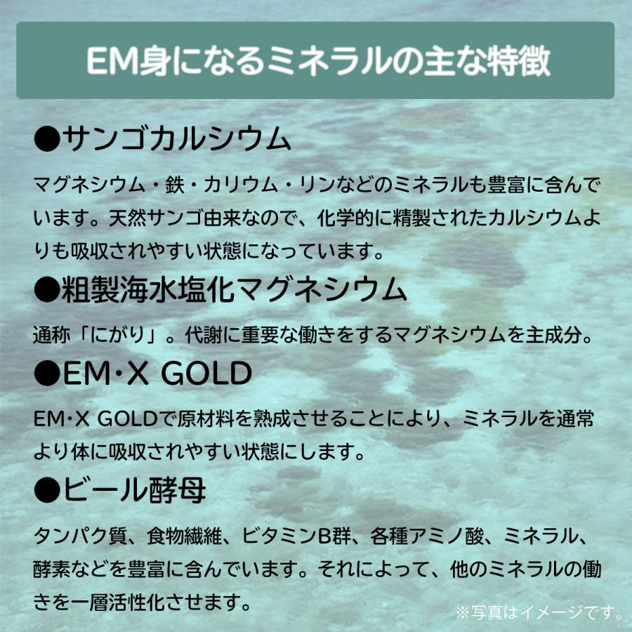 EM身になるミネラル ボトルタイプ 810粒（ボトル） [サプリメント 健康] | ブランド登録なし | 02