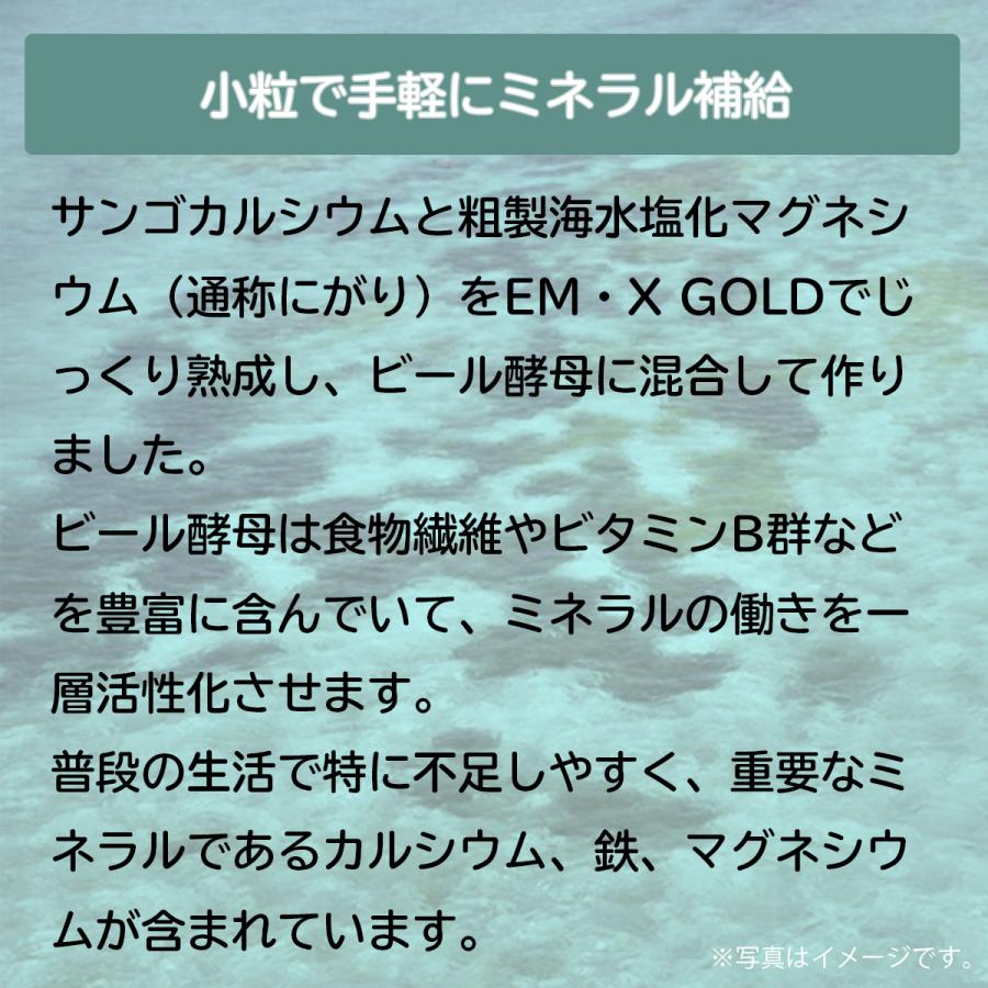 EM身になるミネラル ボトルタイプ 810粒（ボトル） [サプリメント 健康] | ブランド登録なし | 03