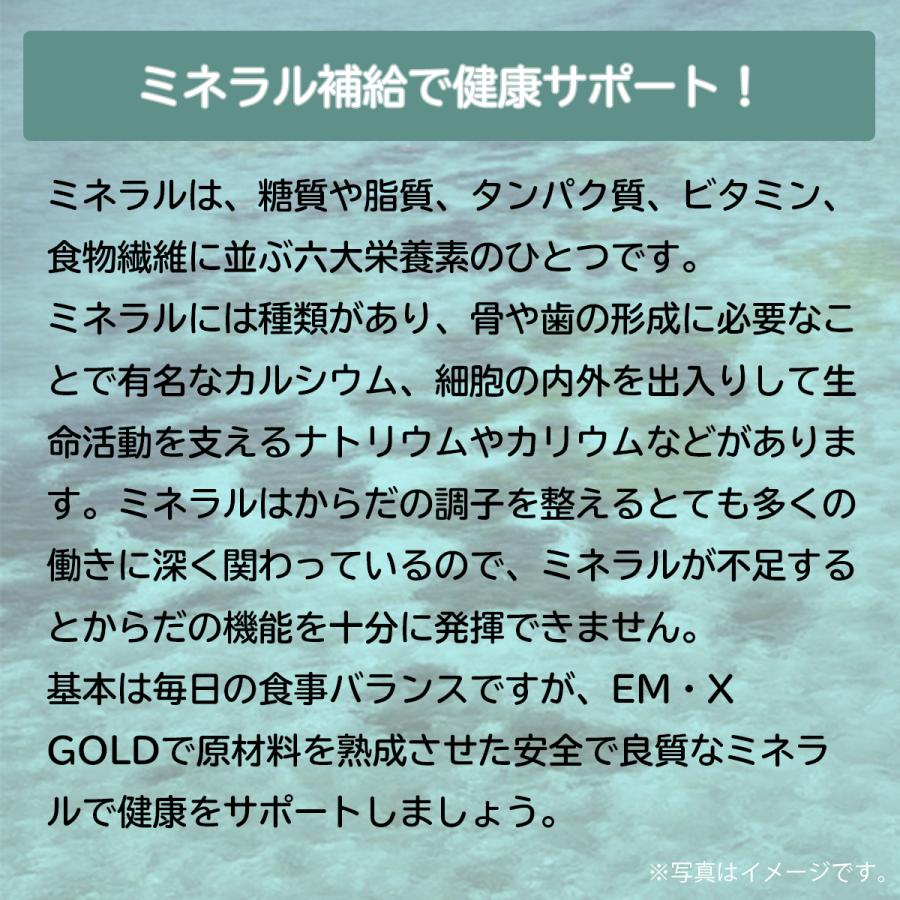 EM身になるミネラル ボトルタイプ 810粒（ボトル） [サプリメント 健康