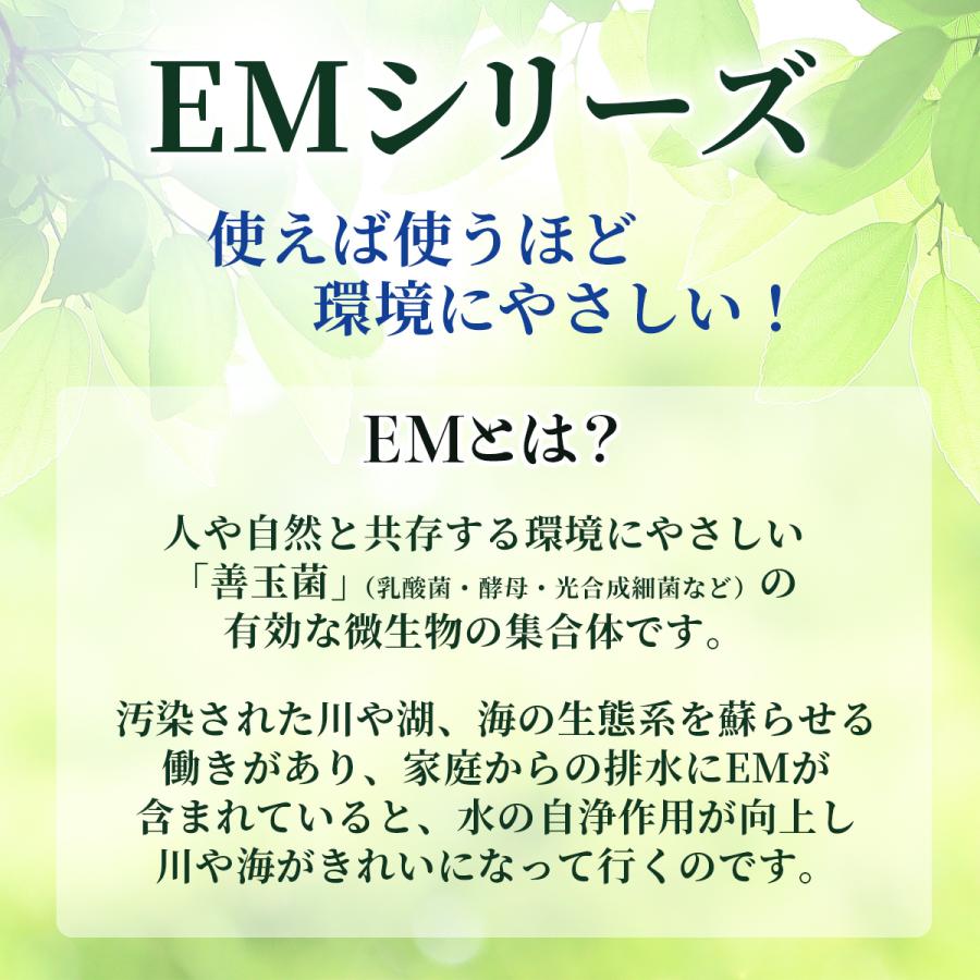 EMせっけんハミガキ 140g ペパーミント味 歯磨き粉 シャボン玉石けん 10個セット | シャボン玉石けん | 04