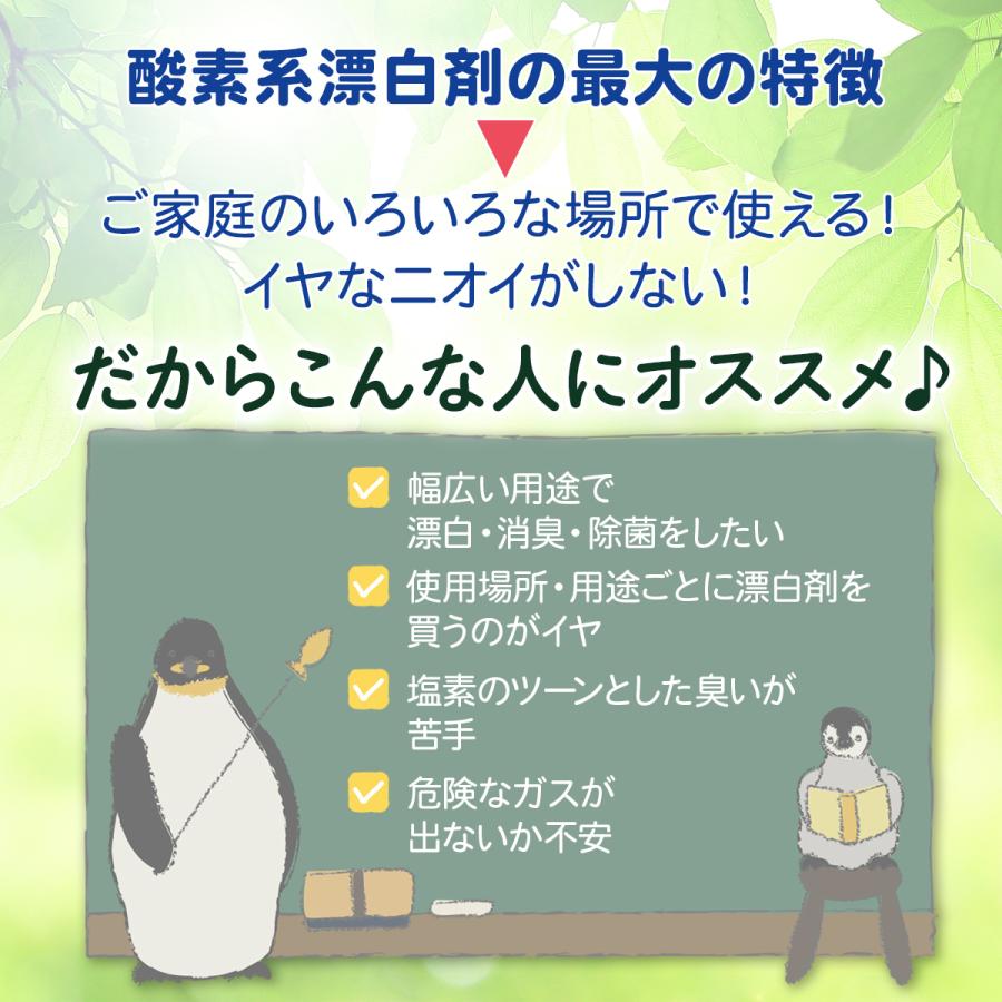 酸素系漂白剤　750g　シャボン玉石けん　2袋セット | シャボン玉石けん | 05
