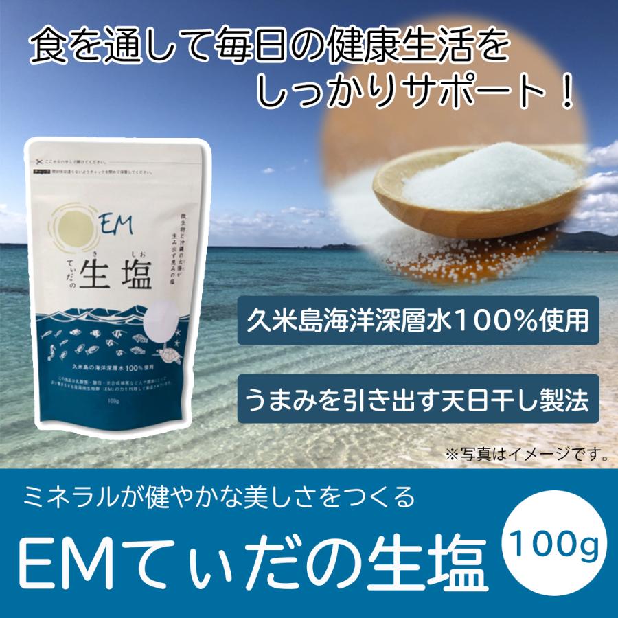 EMてぃだの生塩 100g [塩 調味料] | ブランド登録なし | 01