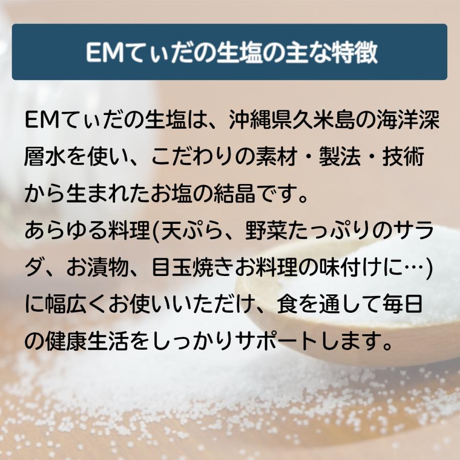 EMてぃだの生塩 100g [塩 調味料] | ブランド登録なし | 02