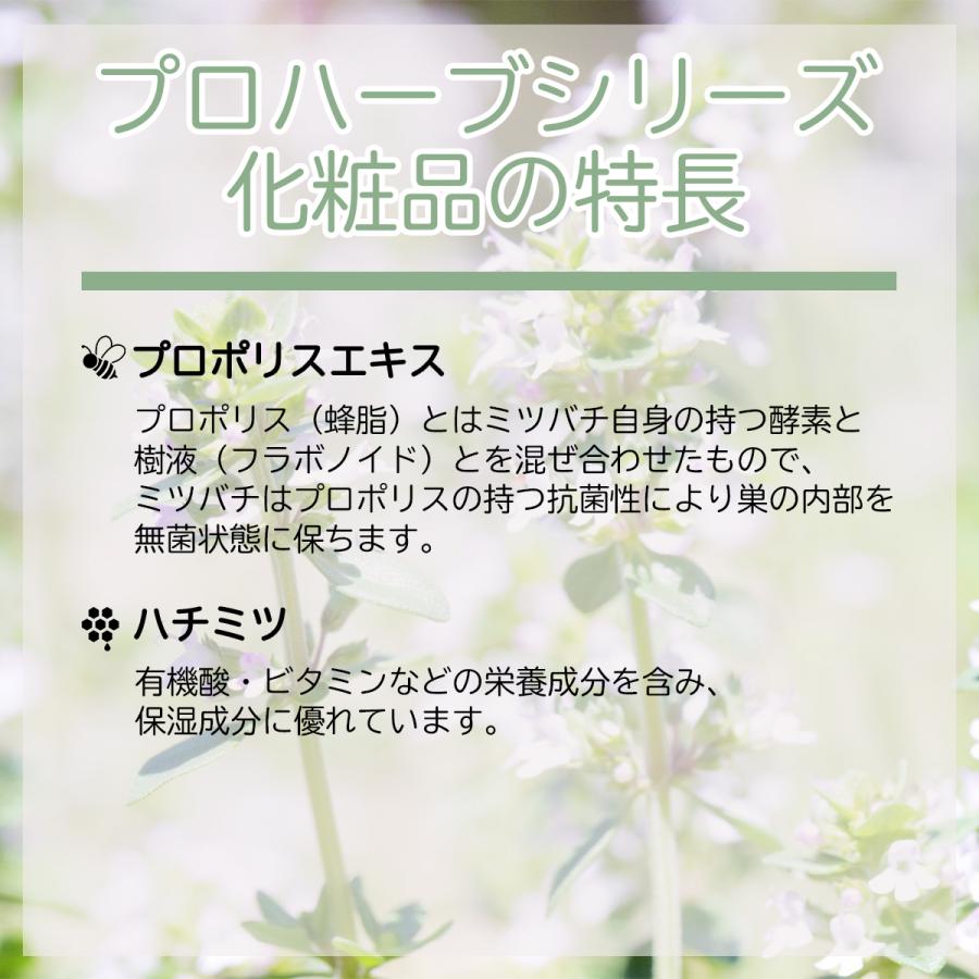 EMヘア コンディショナー 500ml プロハーブ 【ノンシリコン】 | PROHERB | 02