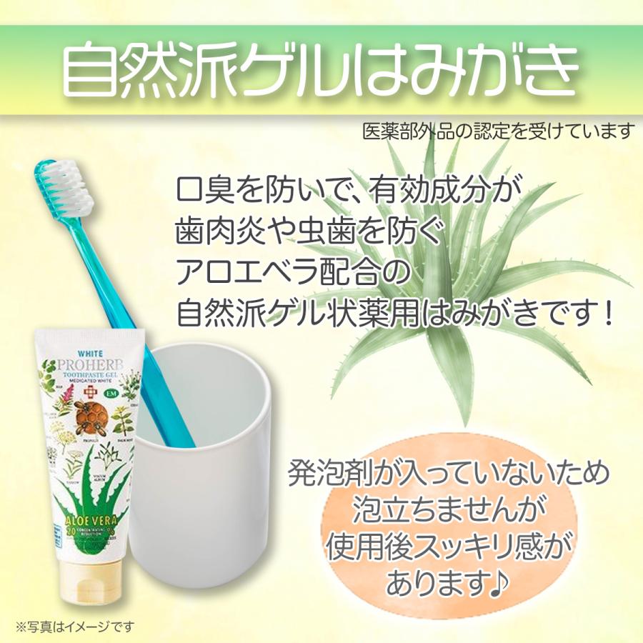 EM ホワイト薬用AV20ゲルはみがき 138g プロハーブ【送料無料】 | ブランド登録なし | 03