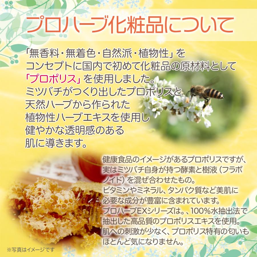 EM ホワイト薬用AV20ゲルはみがき 138g プロハーブ【送料無料】 | ブランド登録なし | 05