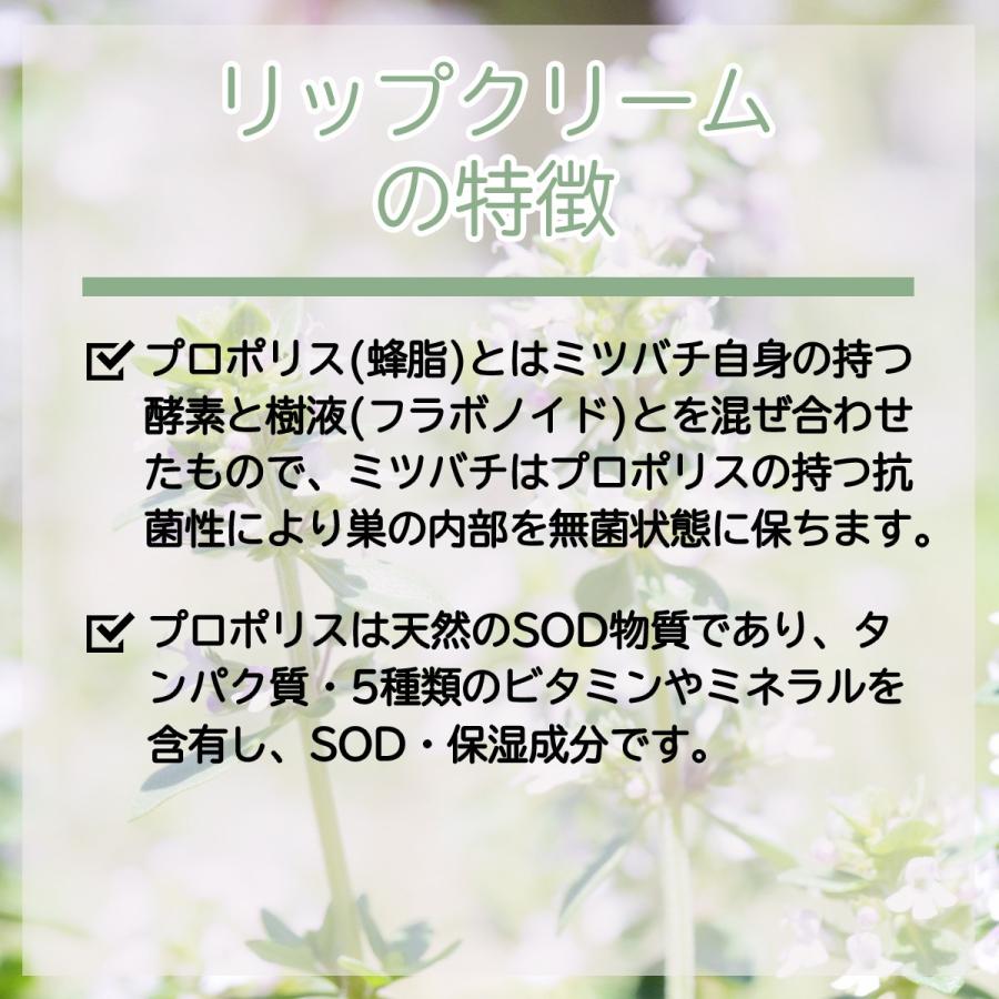 リップクリーム プロハーブ [スティックタイプ]送料無料 | PROHERB | 02