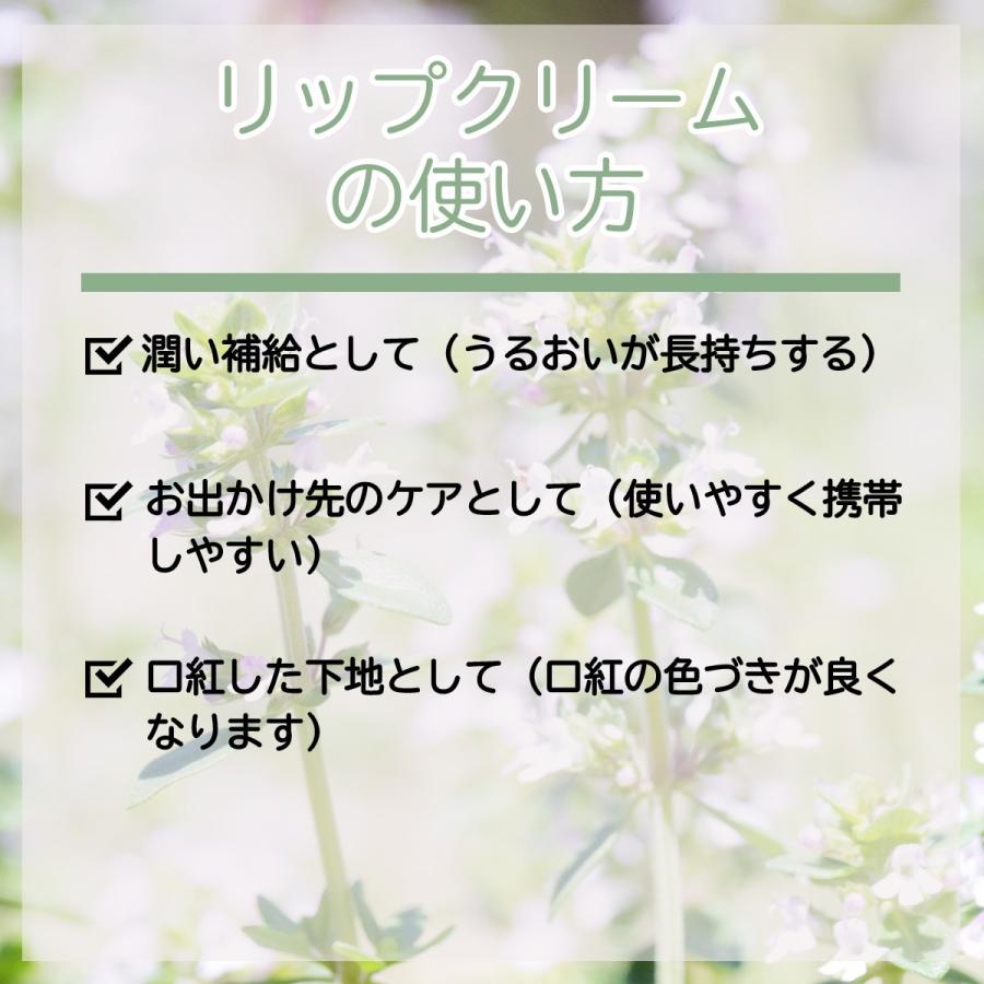 リップクリーム プロハーブ [スティックタイプ]送料無料 | PROHERB | 03