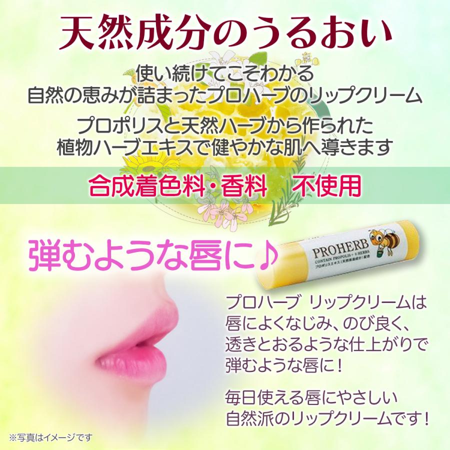 リップクリーム プロハーブ [スティックタイプ]送料無料 | PROHERB | 05