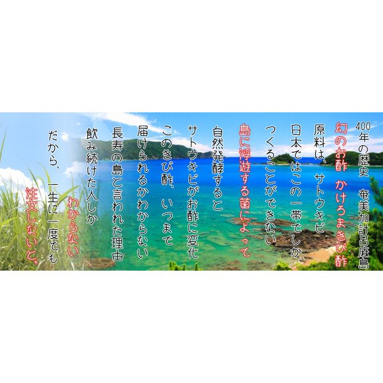 かけろまきび酢　700ml　 | ブランド登録なし | 06