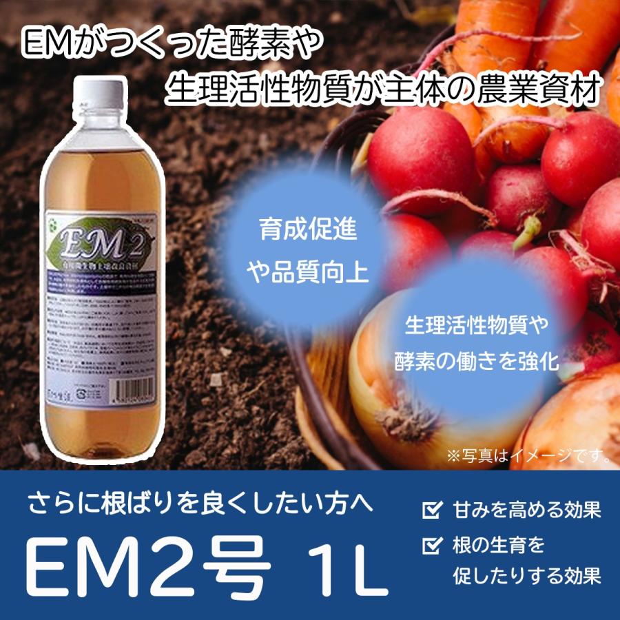 EM2号 1L （有用微生物土壌改良資材） [ガーデニング 植物 肥料] 送料無料 | ブランド登録なし | 01