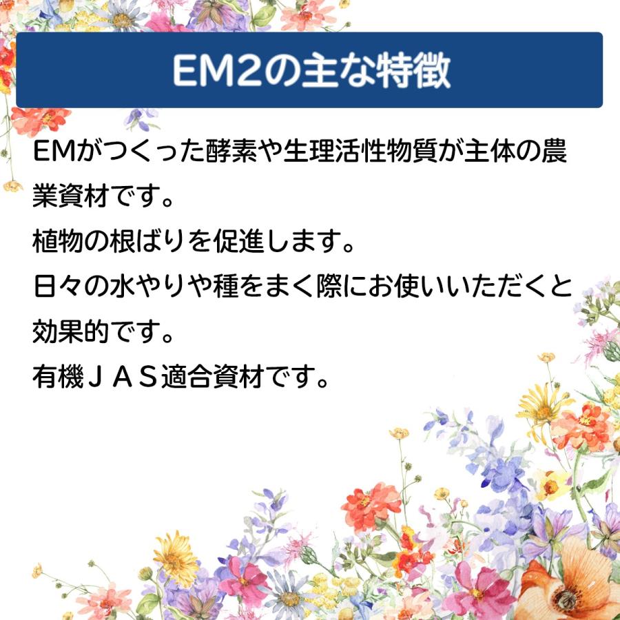 EM2号 1L （有用微生物土壌改良資材） [ガーデニング 植物 肥料] 送料無料 | ブランド登録なし | 02