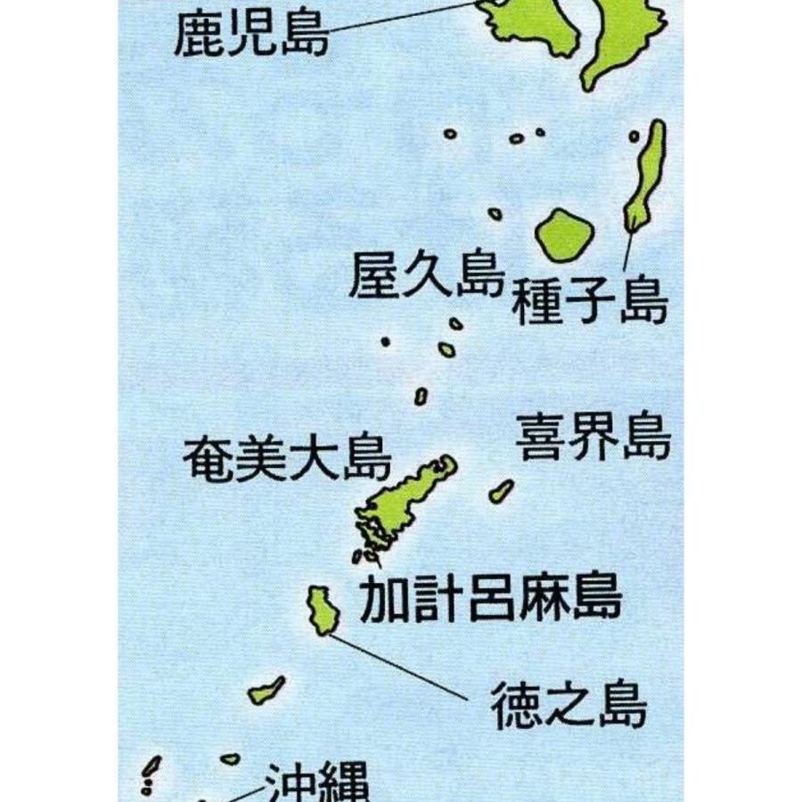 かけろまきび酢　700ml　12本セット 送料無料 | ブランド登録なし | 04