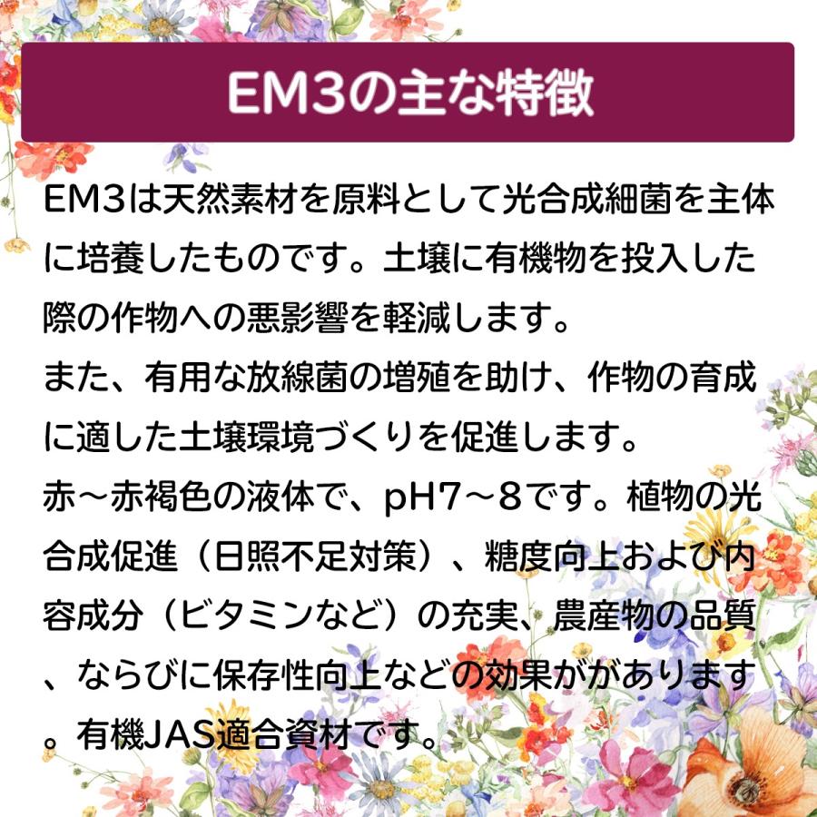 EM3号１L　送料無料 | ブランド登録なし | 02