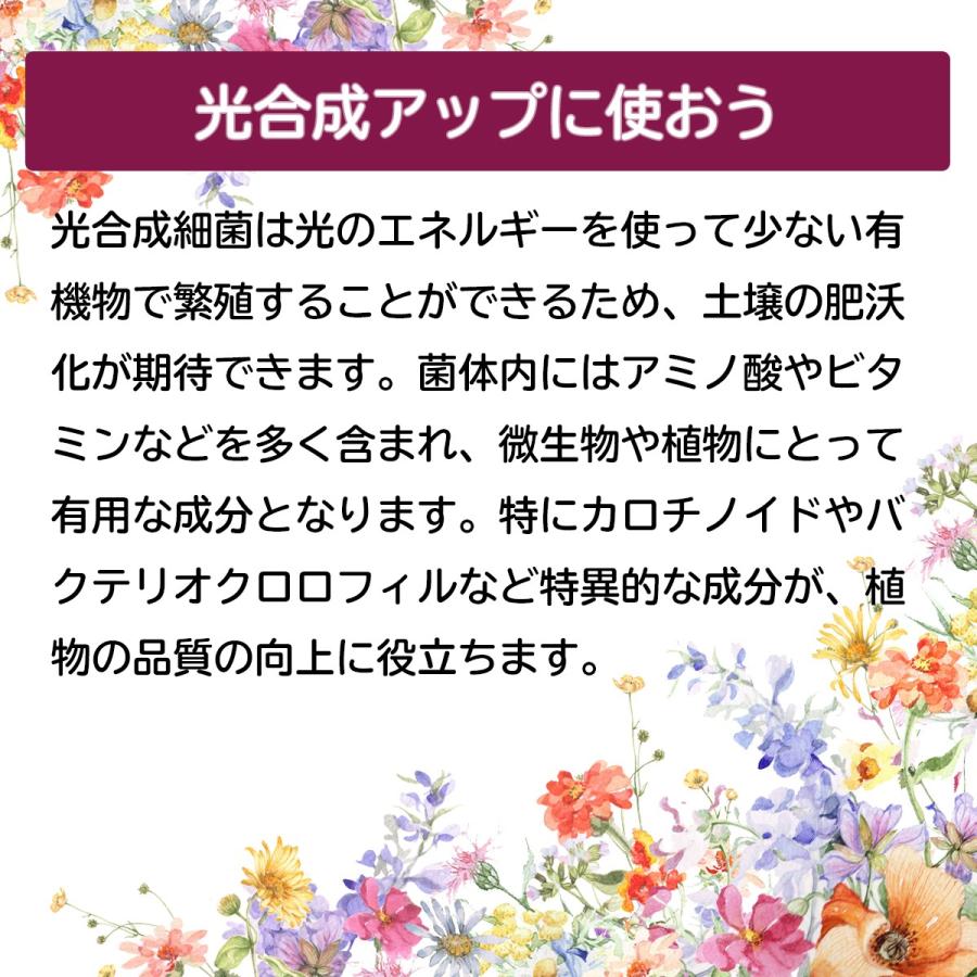 EM3号１L　送料無料 | ブランド登録なし | 03