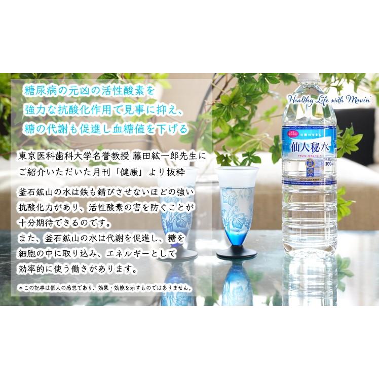 磁鉄鉱 釜石鉱山 ミネラルウォーター 水 天然水 軟水 弱アルカリ性