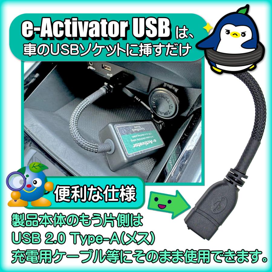 e-Activator USB イーアクティベーター 電源ノイズ 除去 対策 ノイズフィルター 電源 活性化 Speedhack EA-USB スピードハック |  | 06