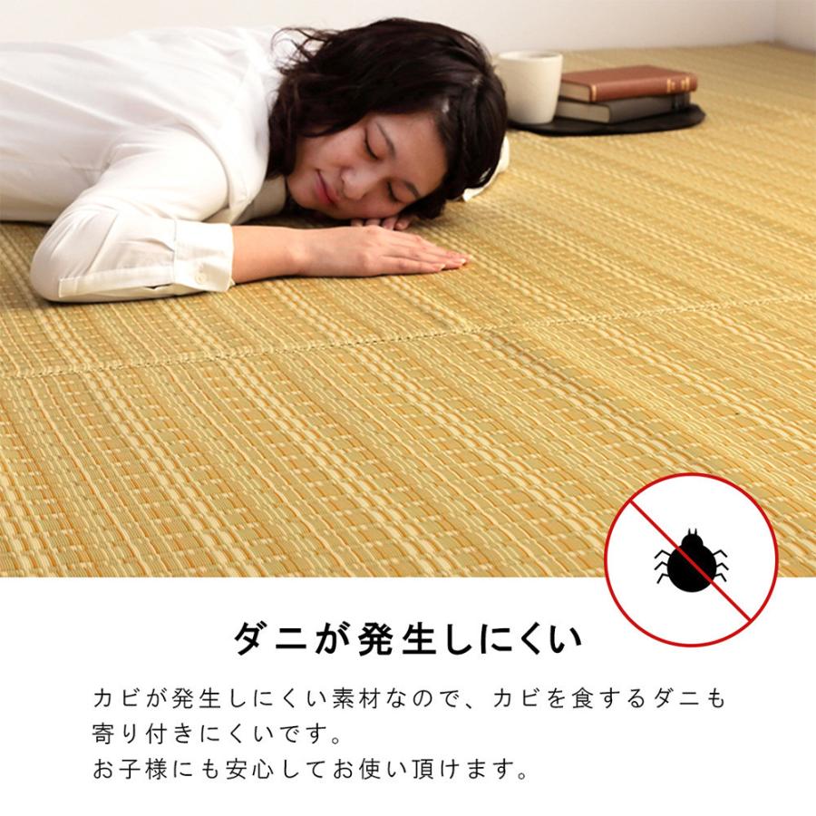 洗える カーペット 団地間 10畳 約425×340cm 敷詰 ラグ い草調 丈夫