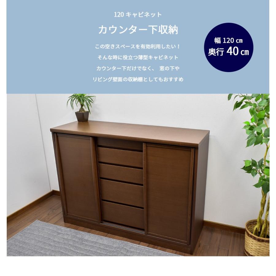 カウンター下収納 奥行40cm 幅1cm 薄型 リビング収納 キッチン収納 キャビネット 引き戸 選べる扉 日本製 大川家具 サリナ ブラウン Wp 262brw ウィズプラン 通販 Yahoo ショッピング